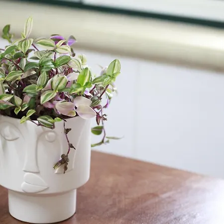 Hébergement de vacances Casa Do Shon Óbidos