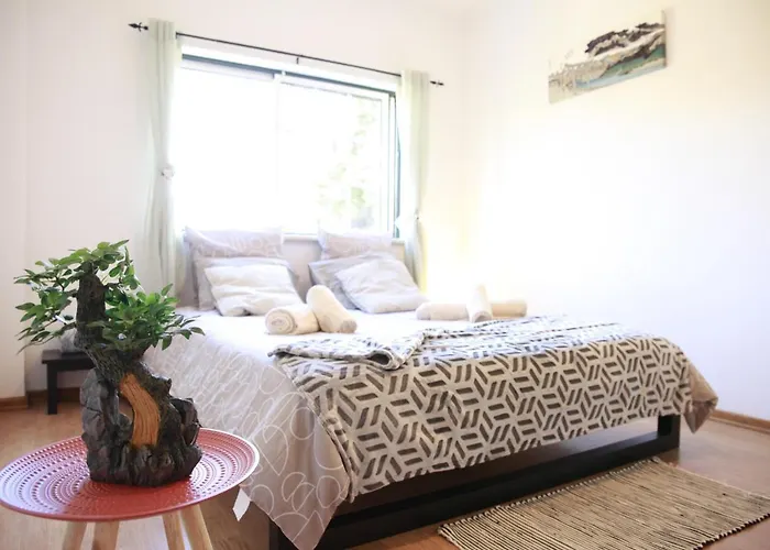 Casa Do Shon * אובידוס